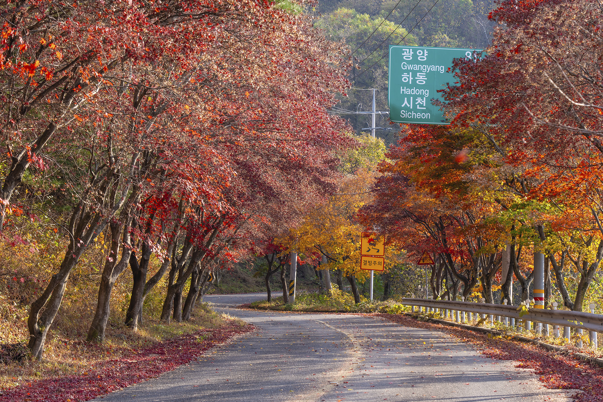 산청 밤머리재