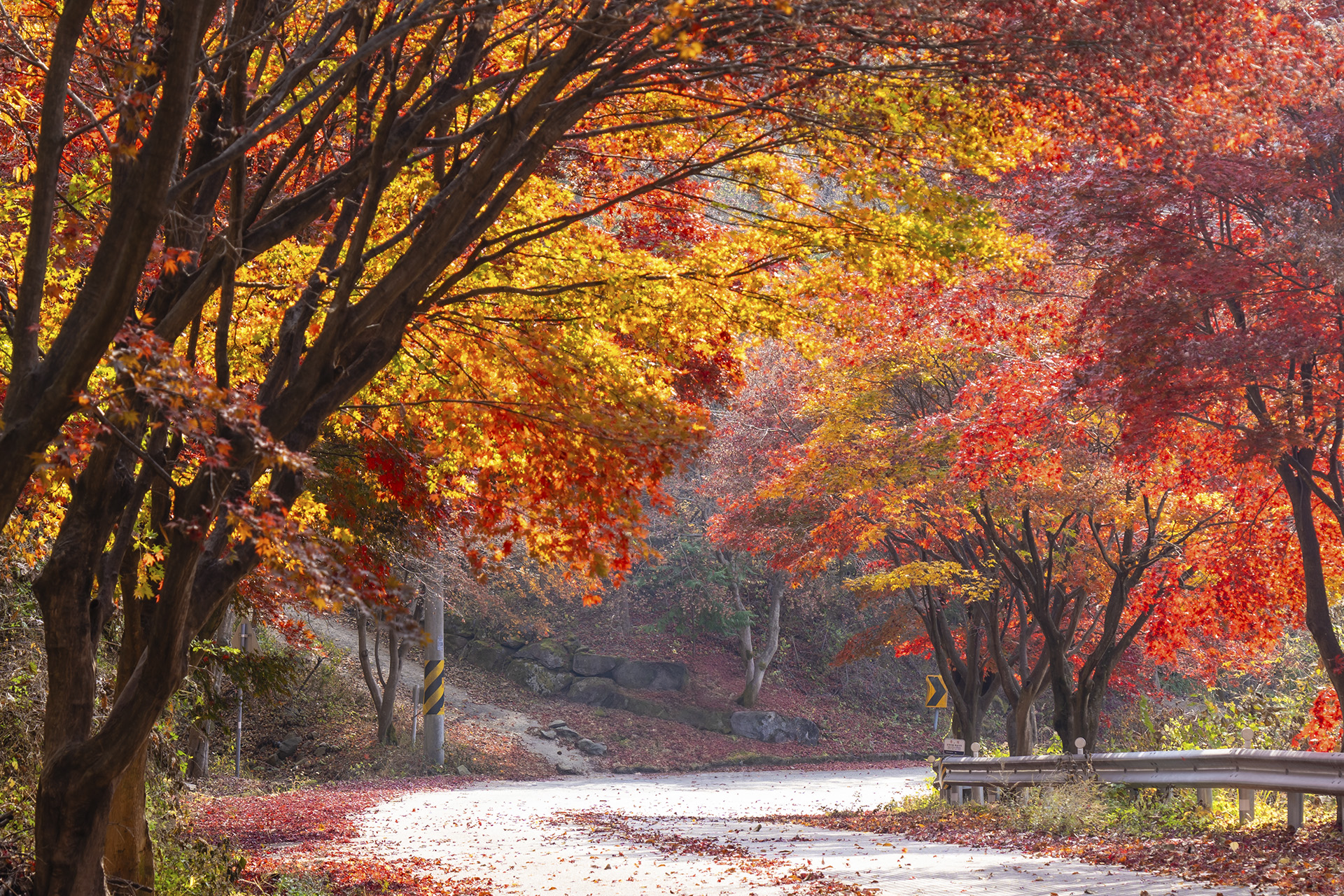 산청 밤머리재
