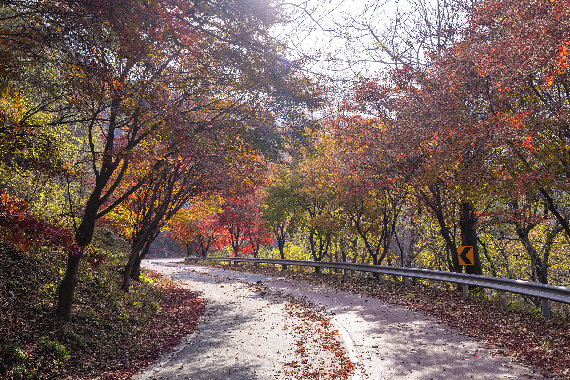 산청 밤머리재
