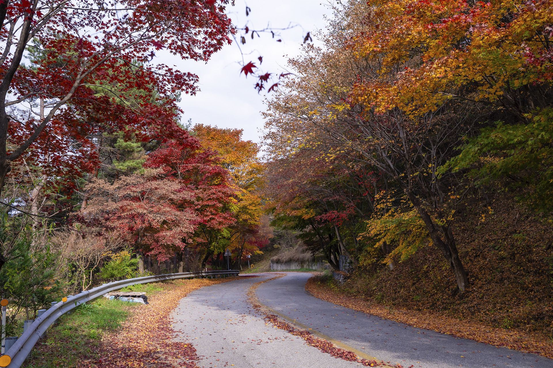 산청 밤머리재