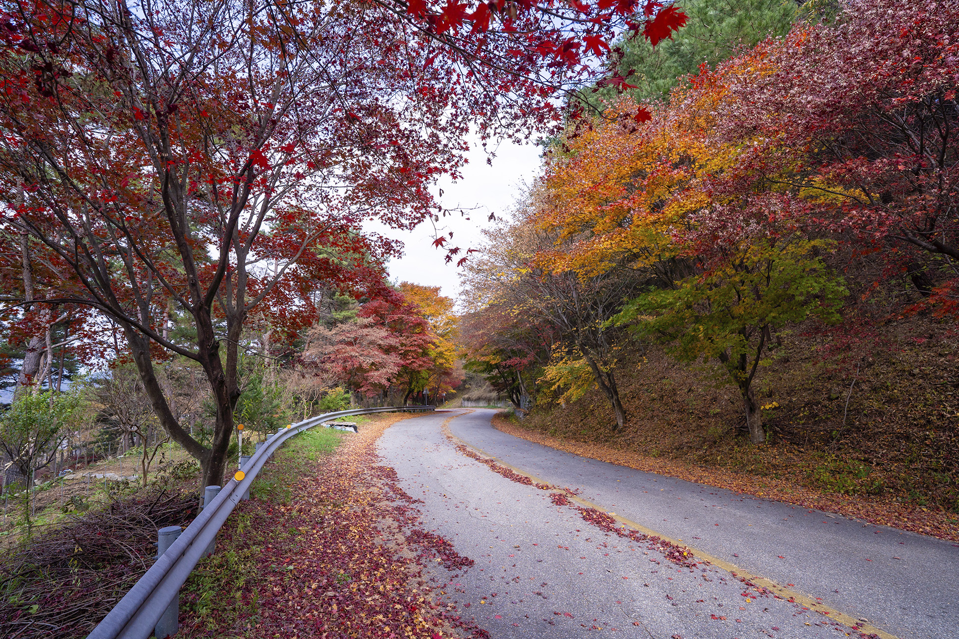 산청 밤머리재
