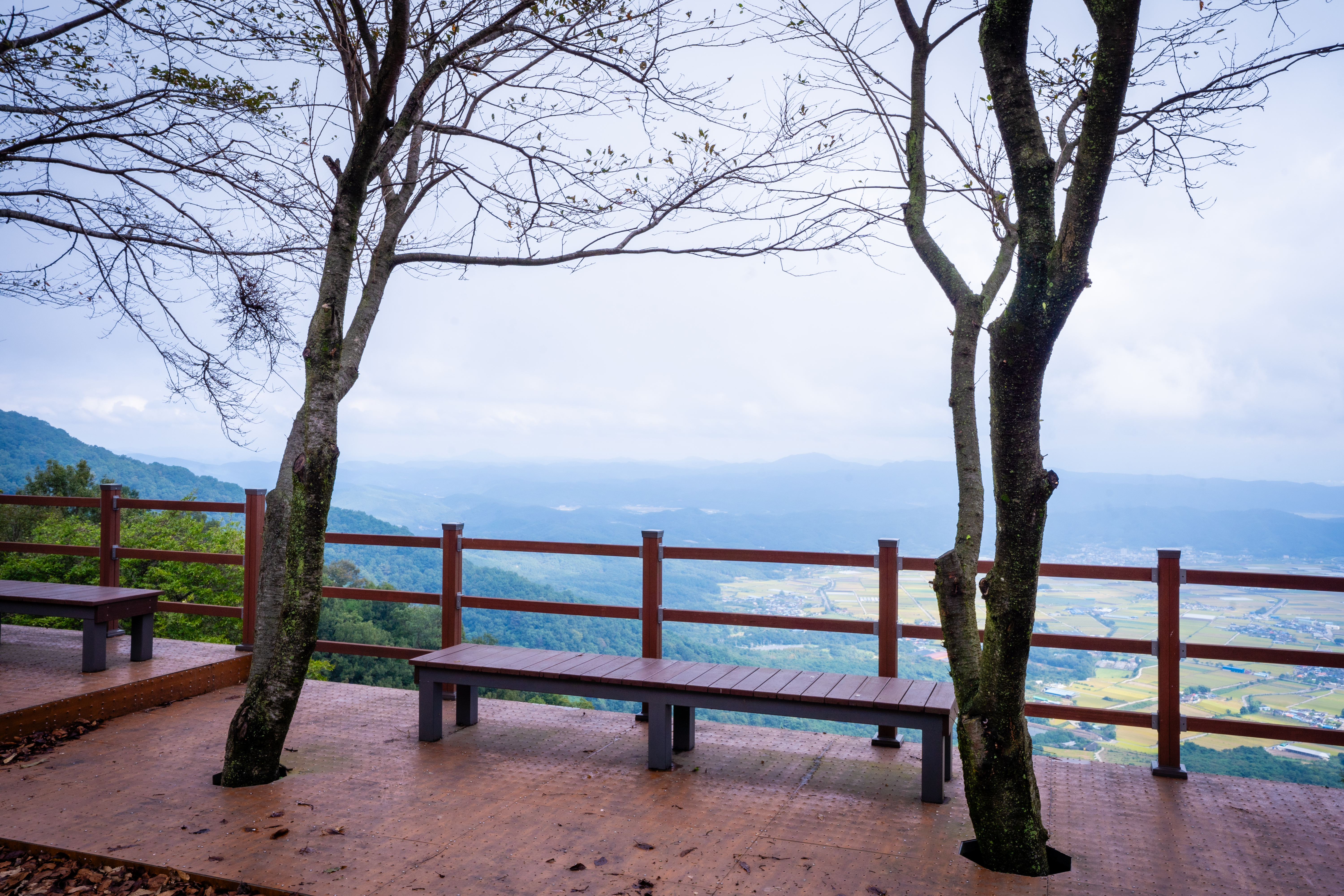 대암산 정상