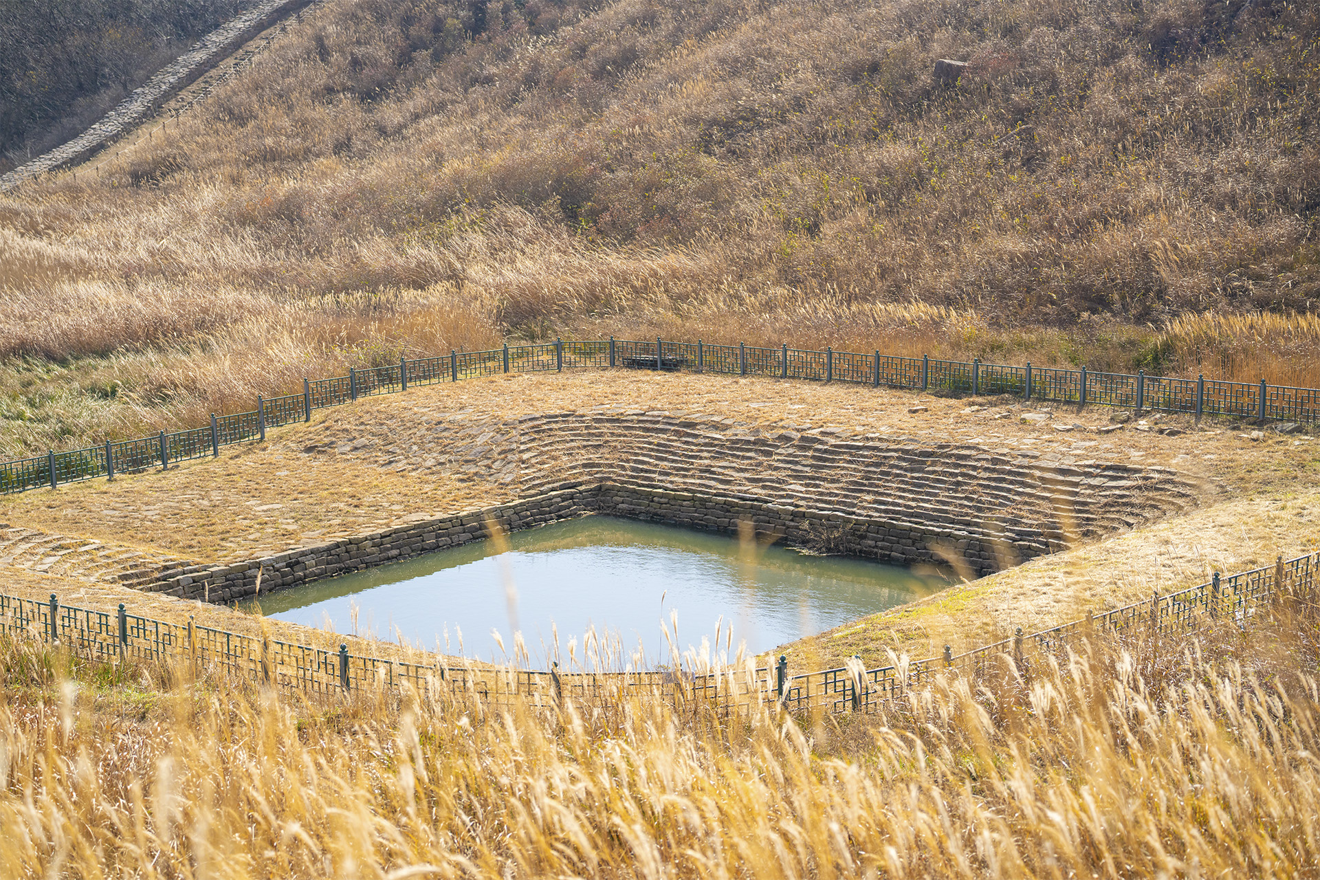 화황산 억새초원