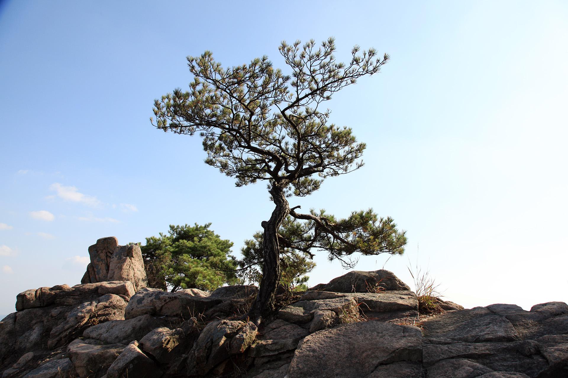 관룡산