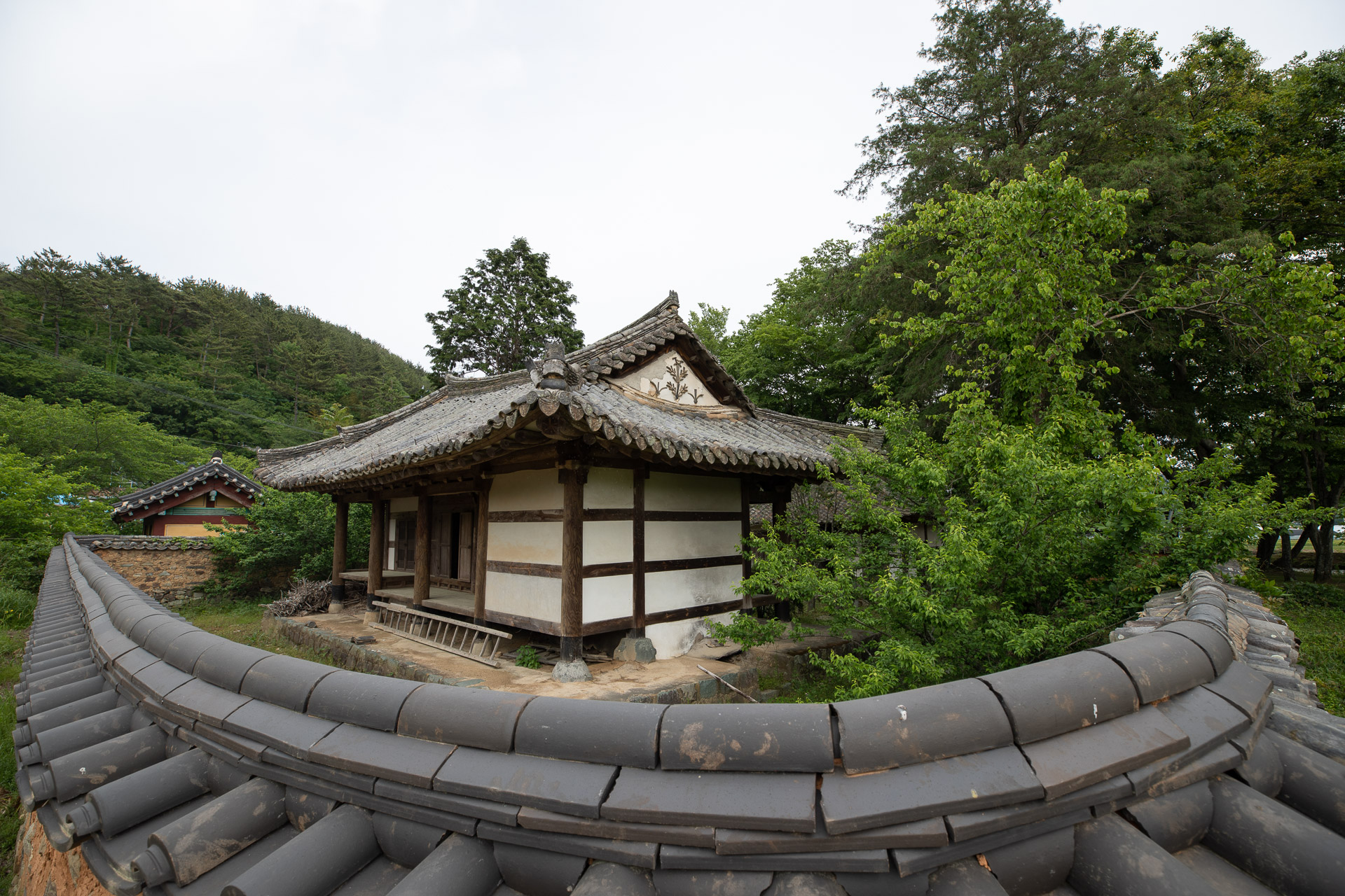 장산숲