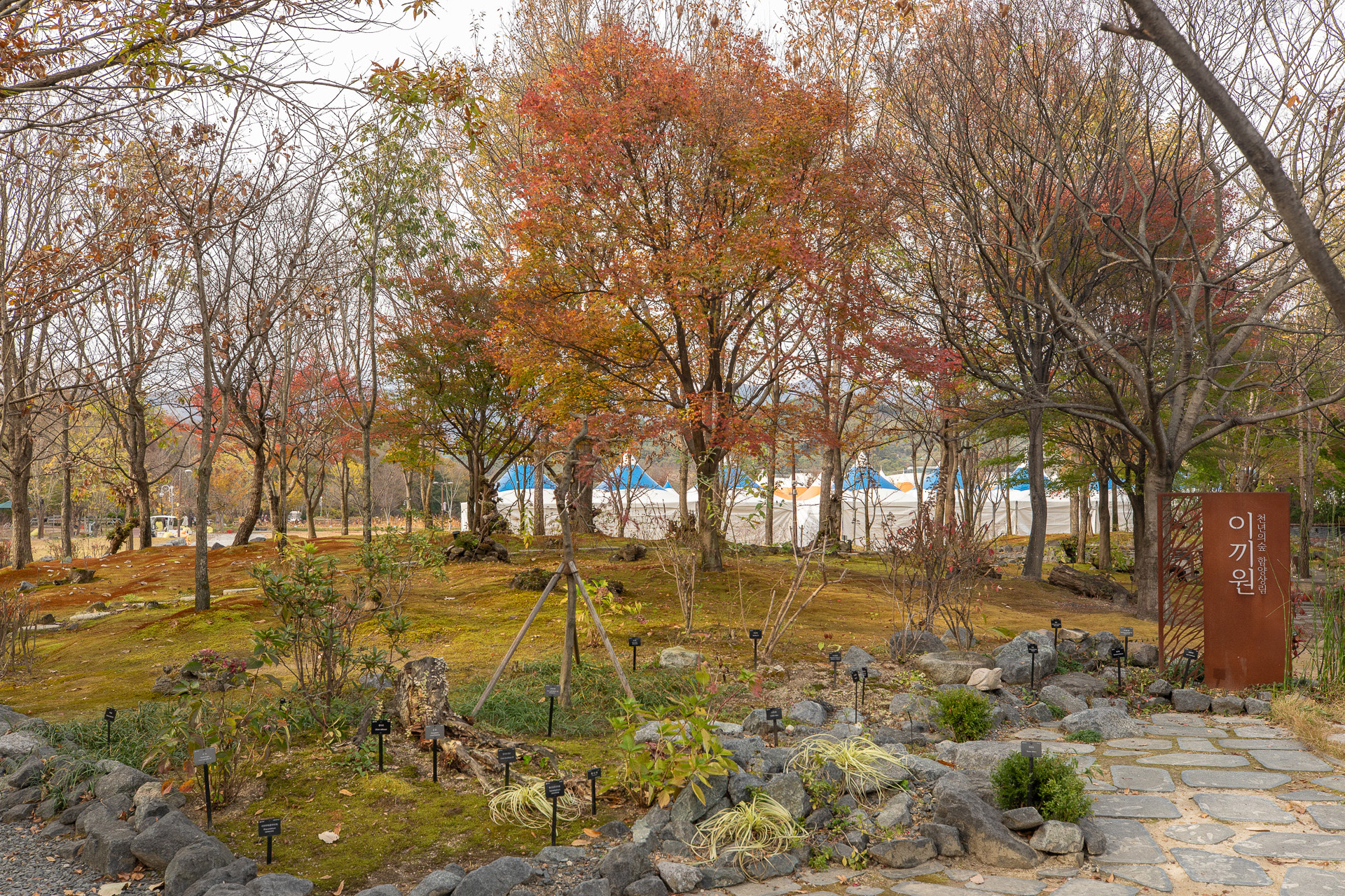 함양 상림숲