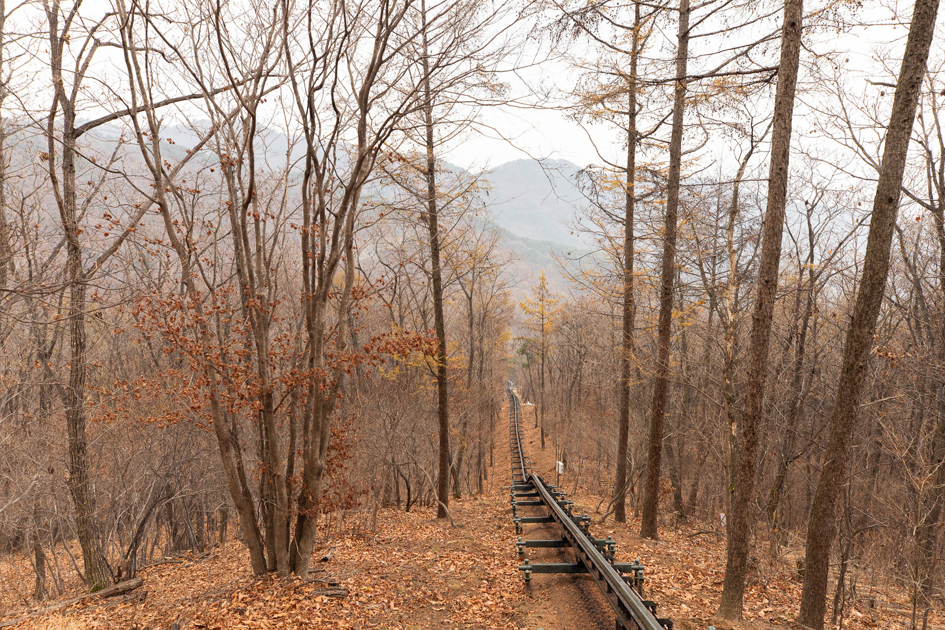 대봉산휴양밸리 모노레일