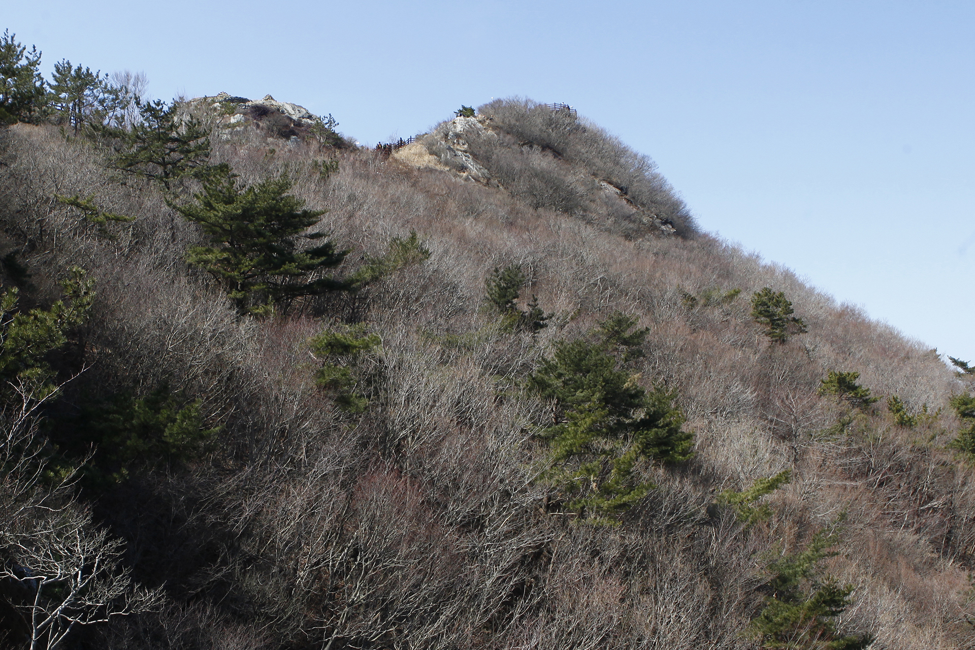 미륵산
