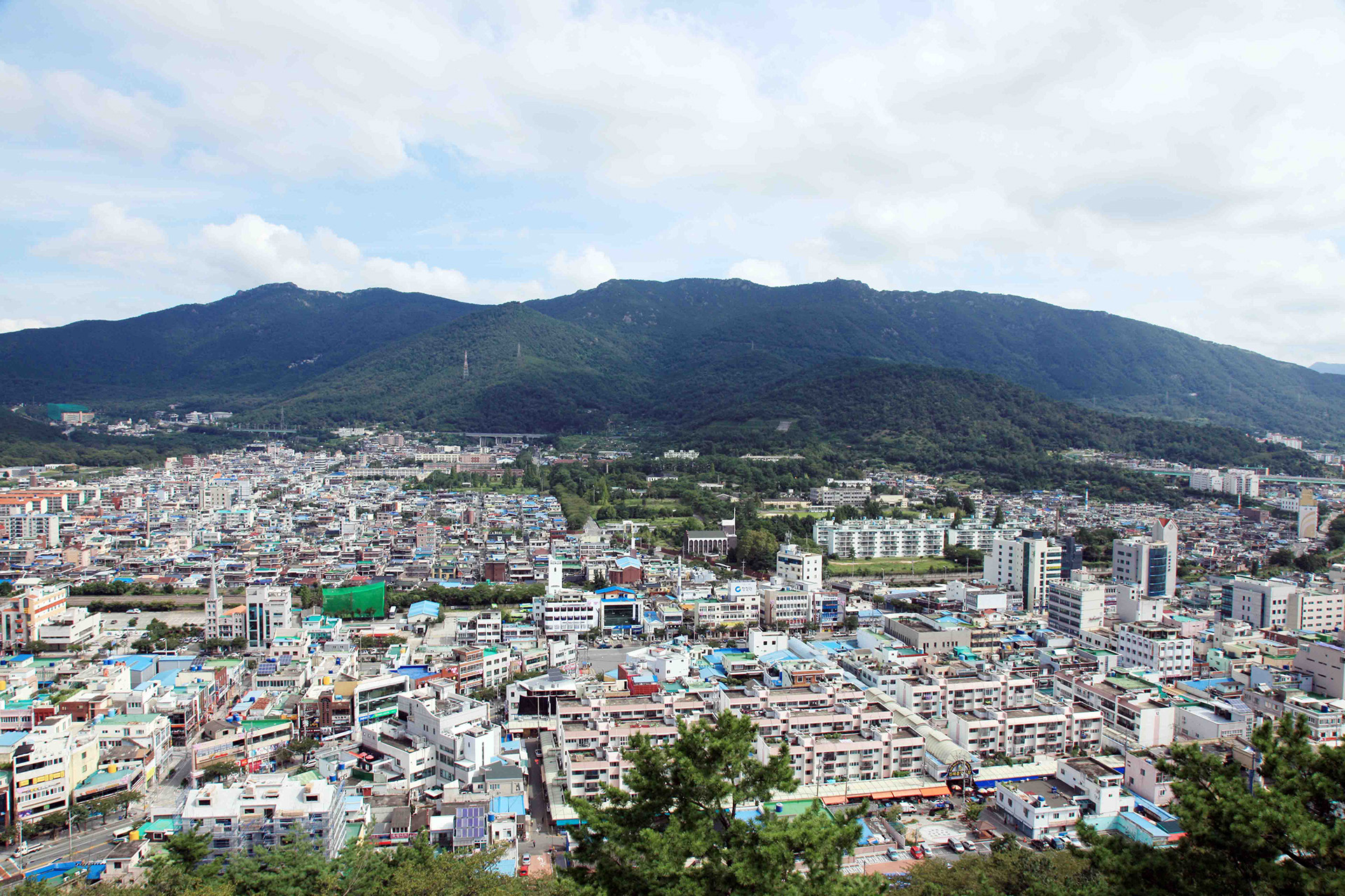 제황산공원