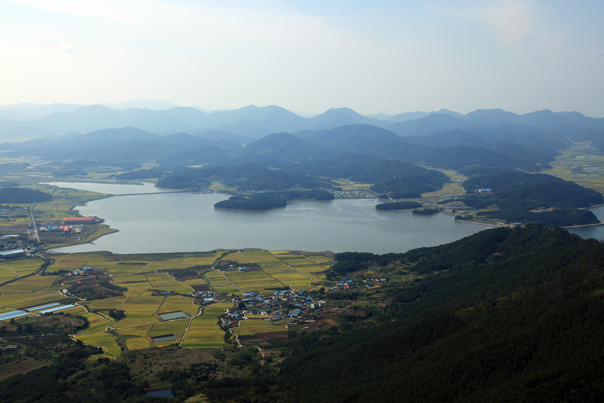 구절산