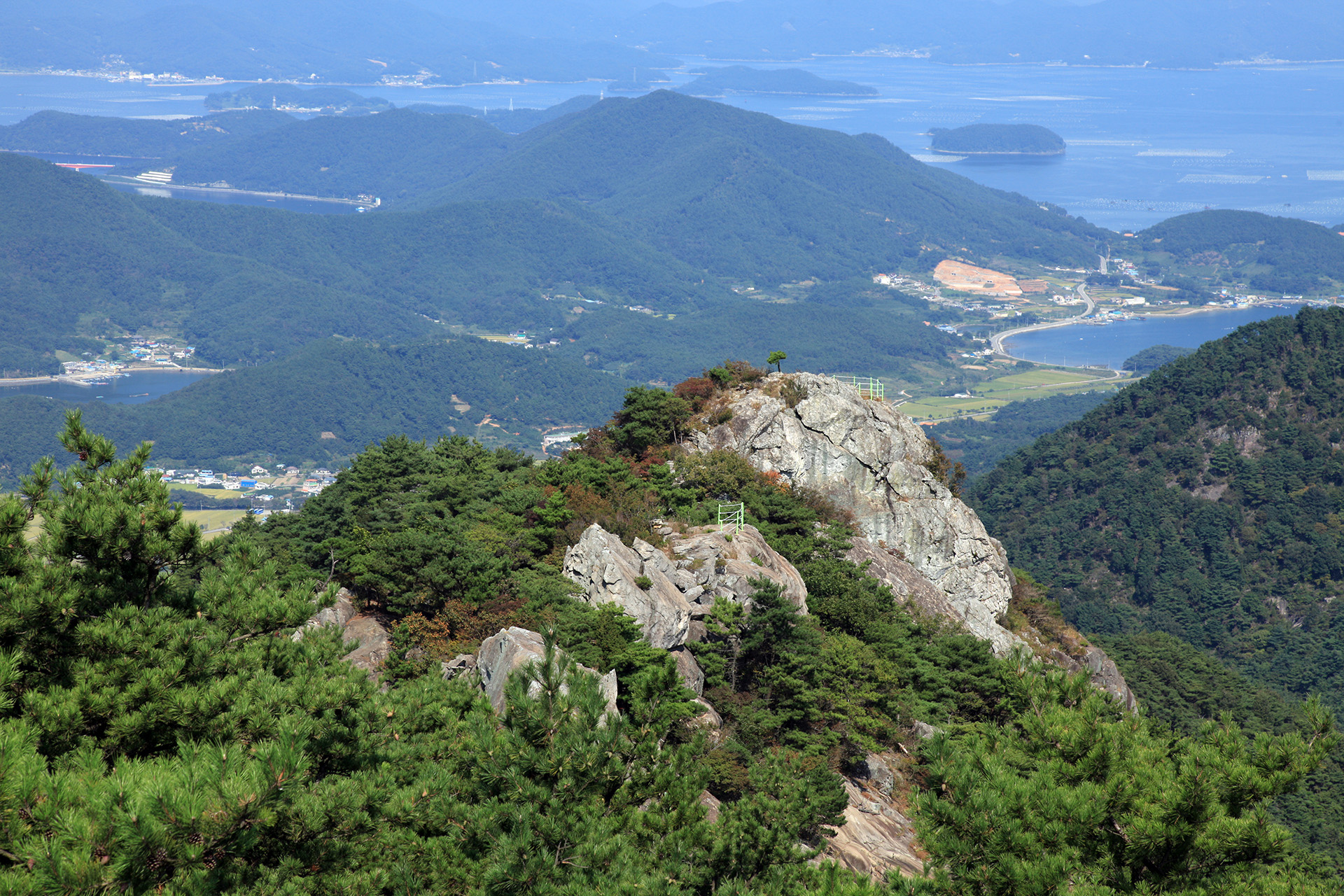 구절산