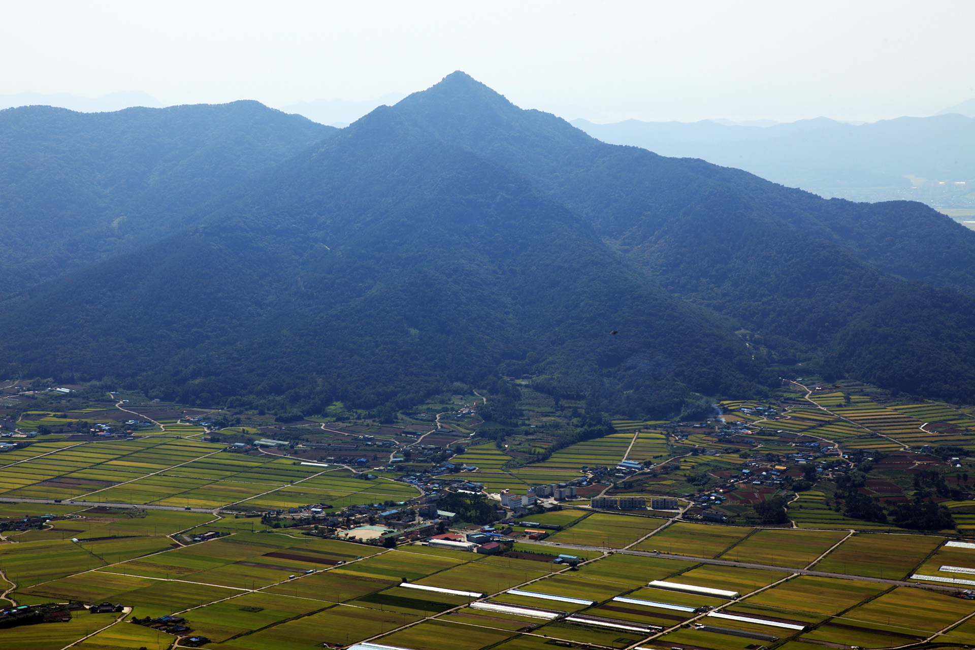 구절산