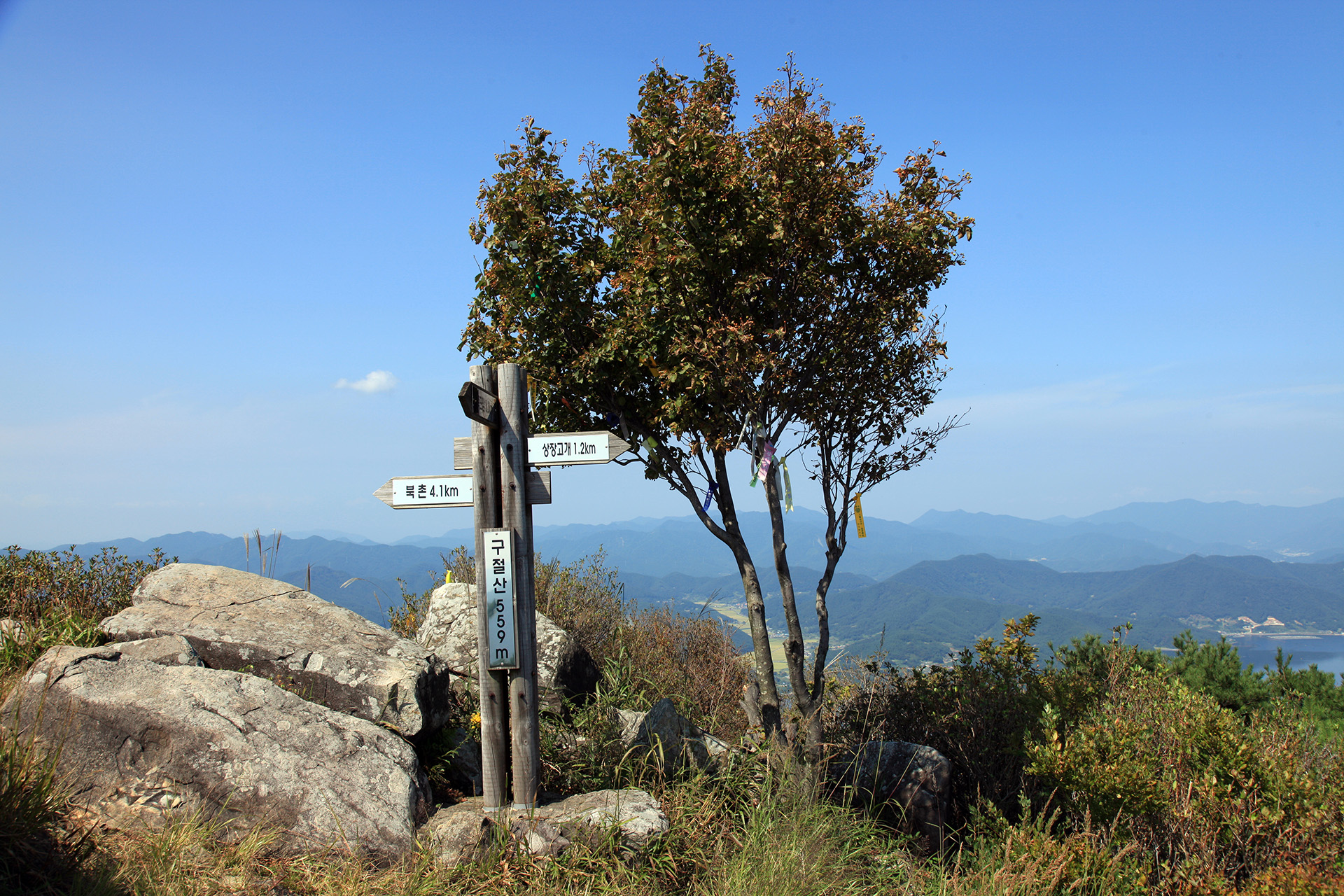 구절산