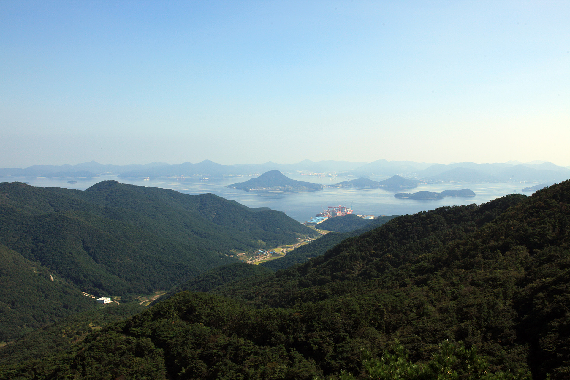 구절산