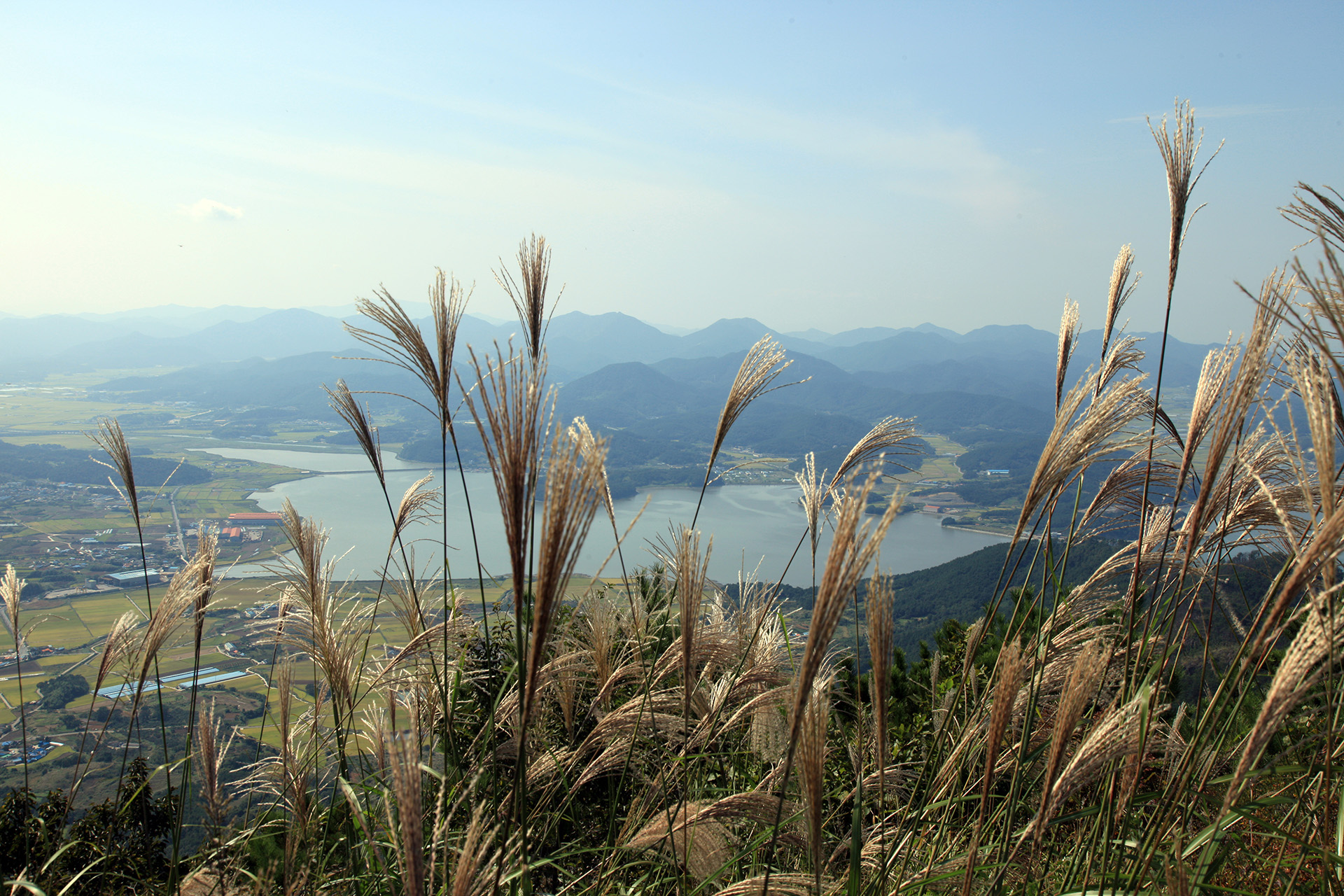 구절산