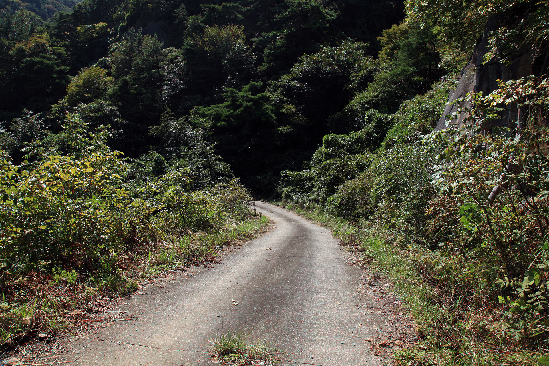 구절산